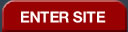 Enter the 1st Choice Finance Website